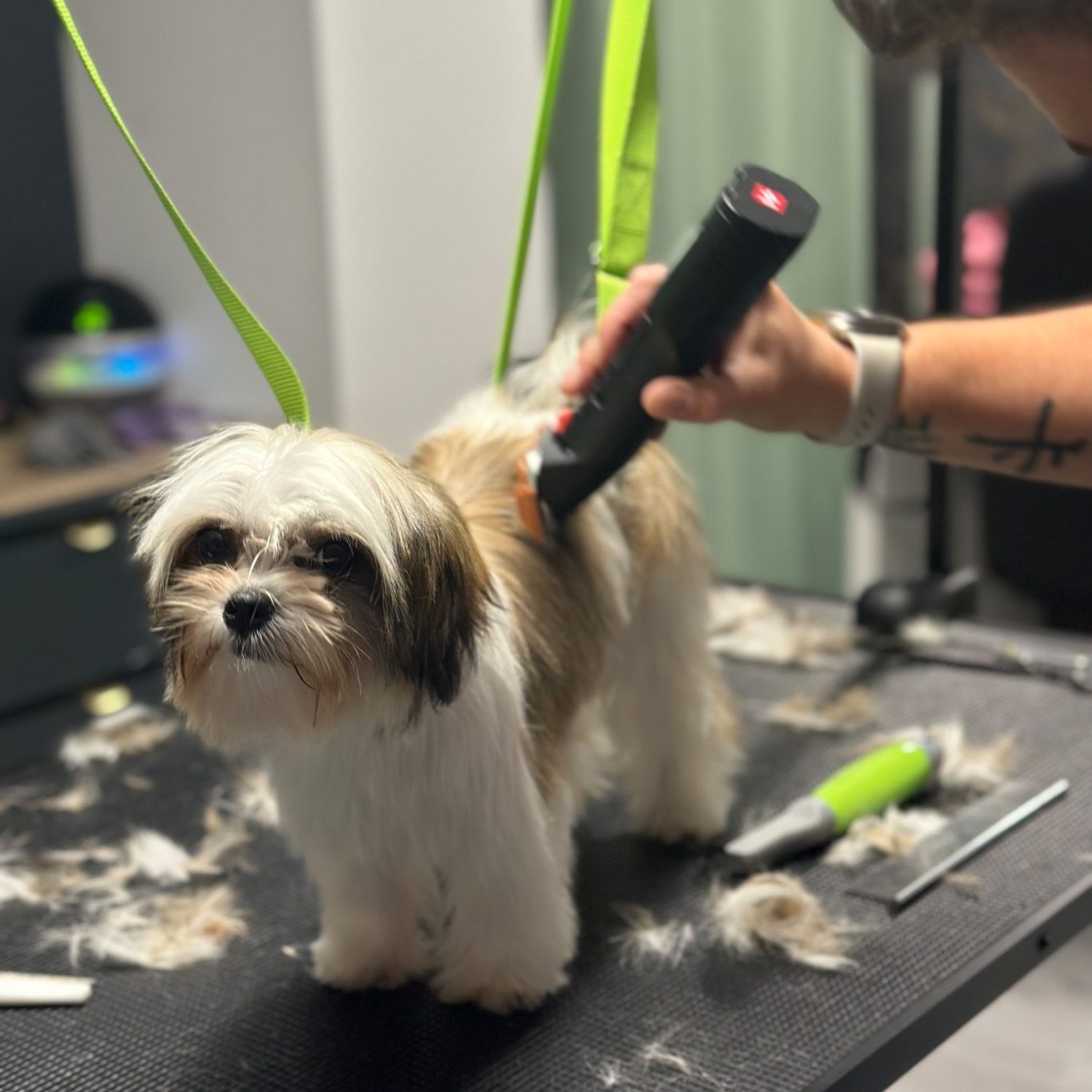 Individuelle Wünsche
Haben Sie spezielle Wünsche oder Bedürfnisse für Ihren Hund? Lassen Sie es mich wissen, und ich passe meine Dienstleist